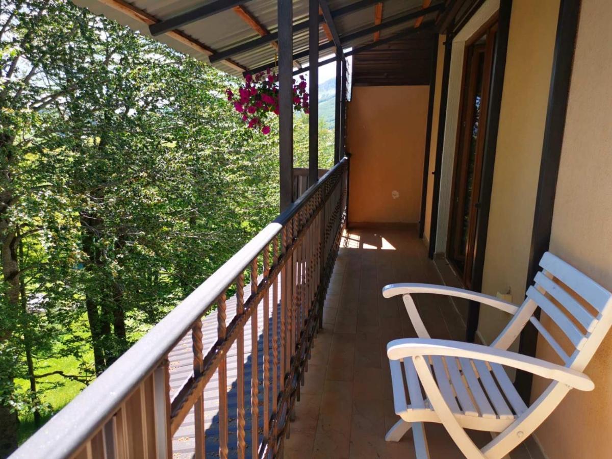Gorska Vila Apartments Žabljak Eksteriør bilde