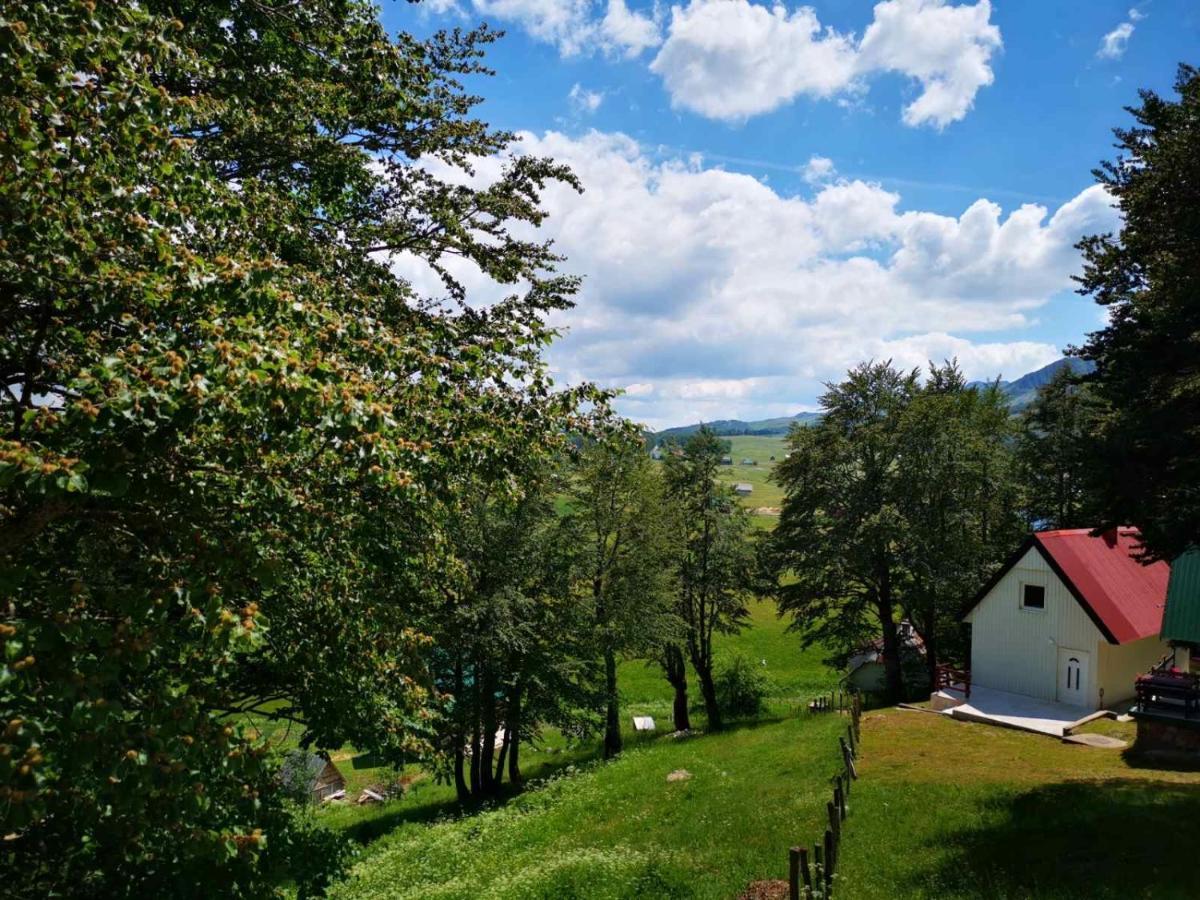 Gorska Vila Apartments Žabljak Eksteriør bilde