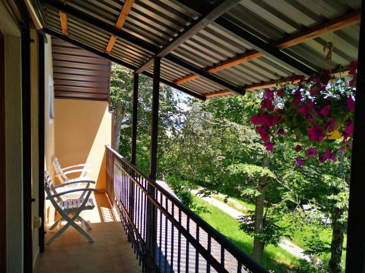 Gorska Vila Apartments Žabljak Eksteriør bilde