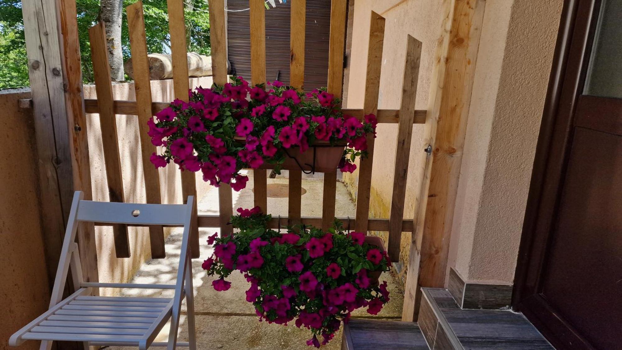 Gorska Vila Apartments Žabljak Rom bilde