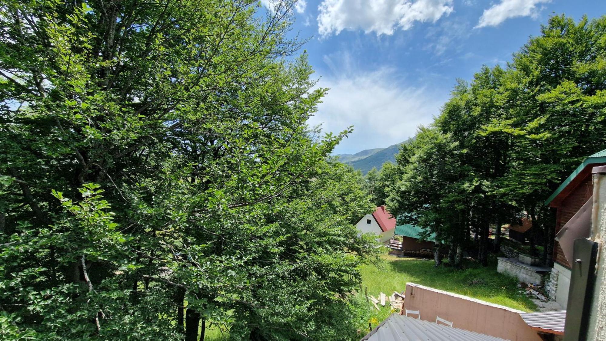 Gorska Vila Apartments Žabljak Rom bilde