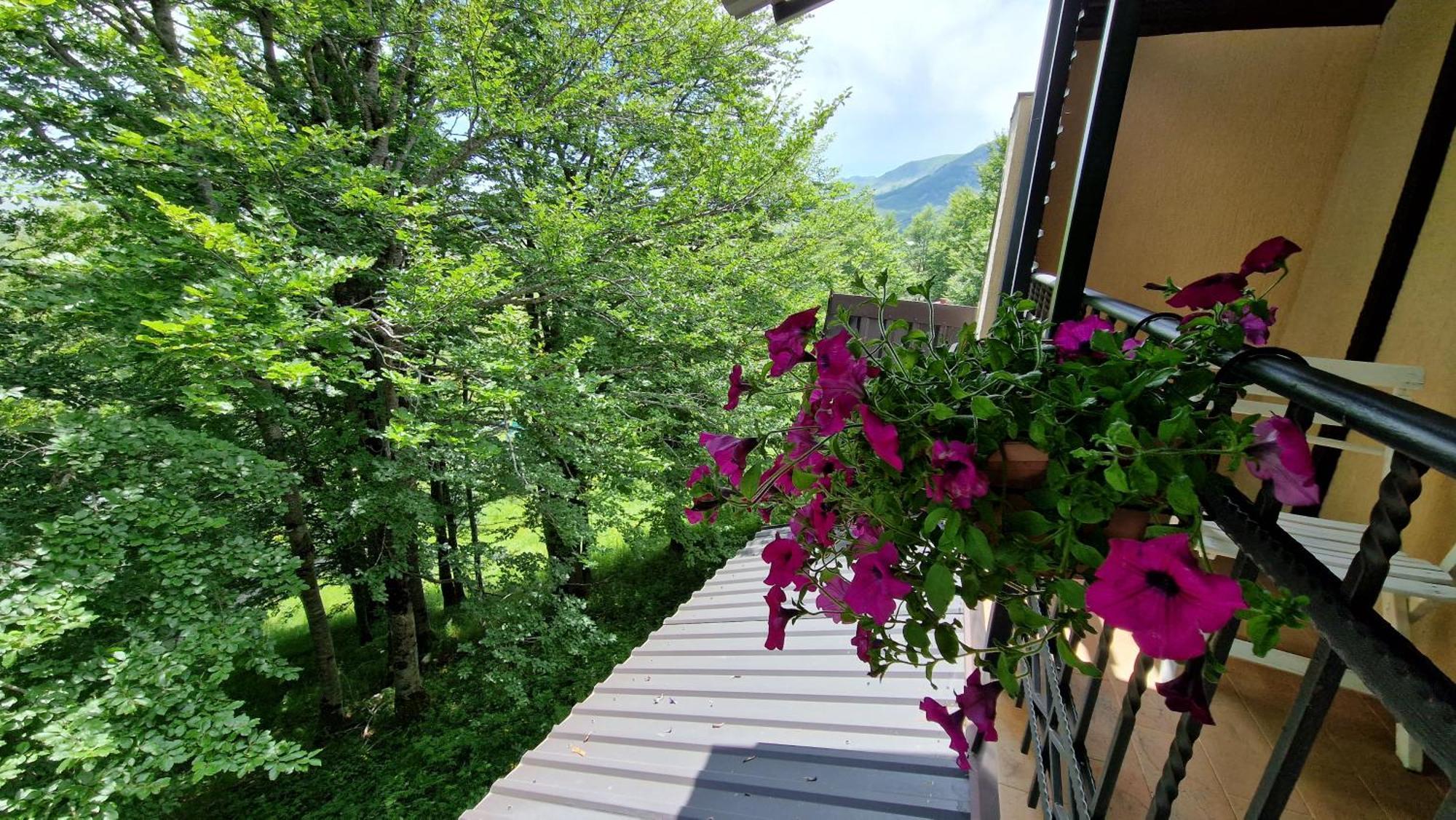 Gorska Vila Apartments Žabljak Rom bilde